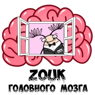 👻 ZOUK
ГОЛОВНОГО МОЗГА cerveau, dessin animé, drôle, fenêtre, personnage telegram sticker
