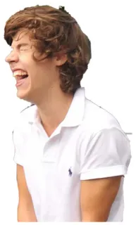 😂 Harry Styles harry styles, laughing, white shirt, singer, one direction, curly hair, male telegram sticker