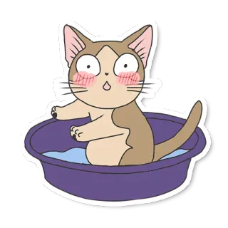 Meowcat telegram stickers