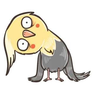 👀 calopsitta, uccello, pappagallo, animale, cartone animato, carino, animale domestico telegram sticker