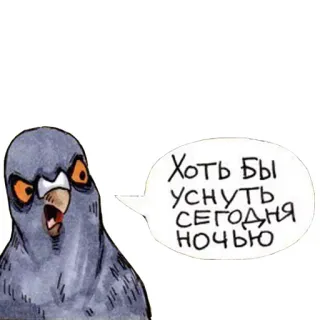 😴 Хоть бы уснуть сегодня ночью oiseau, pigeon, bulle de dialogue, sommeil, nuit whatsapp sticker