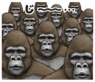 👻 じ〜〜〜… gorilas, animais, primatas, macaco, olhar telegram sticker