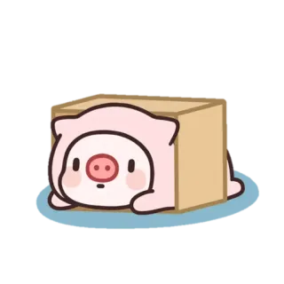 📦 かわいい, 豚, 箱, 動物 telegram sticker