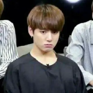 🍟 Jungkook kpop, jungkook, meme, divertente, cantante, ritratto whatsapp sticker