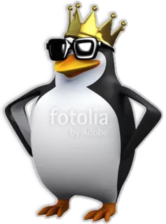 👑 penguin, king, crown, sunglasses, animal, cartoon telegram sticker