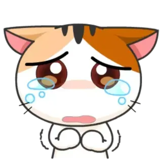 😢 gatto, cartone animato, carino, animale, triste, piangendo telegram sticker