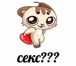 🍄 секс??? cat, heart, love, russian, question telegram sticker