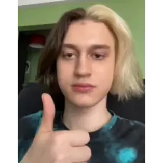 👍 personne, pouce levé, portrait telegram sticker