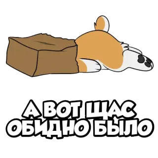 😔 А ВОТ ЩАС ОБИДНО БЫЛО corgi, chó, hài hước, buồn, khó chịu telegram sticker