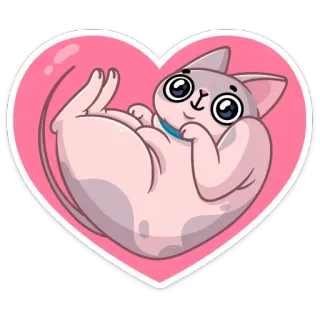 ❤️ gatto, cuore, carino, animale, adesivo, cartone animato telegram sticker