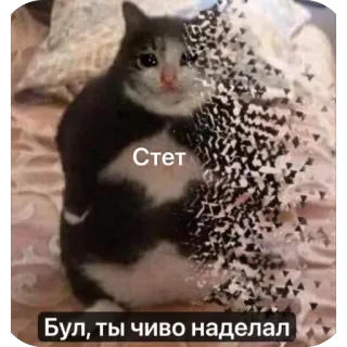 🫥 Стет
Бул, ты чиво наделал kot, rozpuszczanie, mem, rosyjski, smutny, zwierzę, płacz telegram sticker