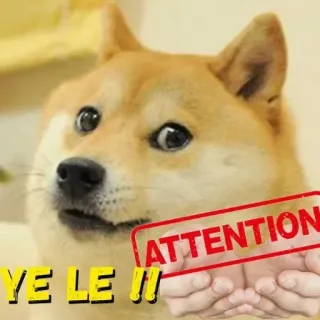⚠️ doge YE LE !! doge, mem, śmieszne, pies telegram sticker