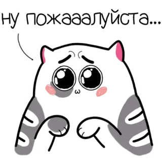 🥺 НУ ПОЖАААЛУЙСТА.... แมว, น่ารัก, อ้อนวอน, ขอร้อง, น่าเอ็นดู, ลูกแมว, สัตว์ telegram sticker