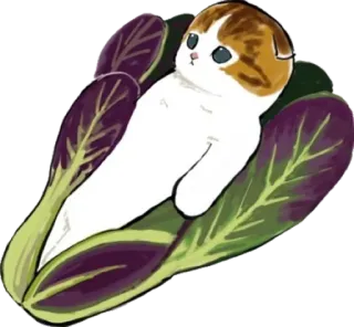 🥬 gato, vegetal, fofo, animal, kawaii, gatinho telegram sticker