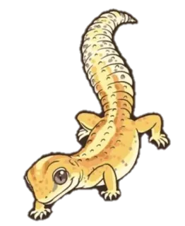 😊 Gecko, Echse, Tier, Reptil, gefleckt telegram sticker