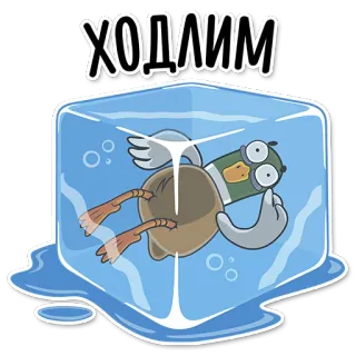 ⏱ ХОДЛИМ kaczka, lód, zamrożony, kreskówka, zwierzę, Hódmezővásárhely (phonetic), humor, mem telegram sticker