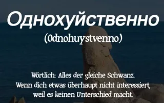 🇷🇺 Однохуйственно
(Odnohuystvenno)
Wörtlich: Alles der gleiche Schwanz.
Wenn dich etwas überhaupt nicht interessiert,
weil es keinen Unterschied macht. tiếng Nga, tiếng Đức, xúc phạm, tiếng lóng telegram sticker