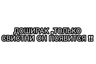 Фразочки от КДМ ✨ telegram stickers