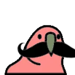 🦜 parrot, mustache, bird, funny, cartoon telegram sticker