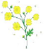 🌼