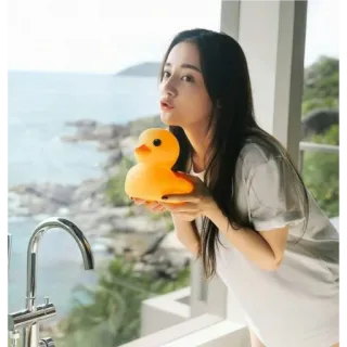 😗 duck, woman, sea, ocean, bathroom, travel telegram sticker