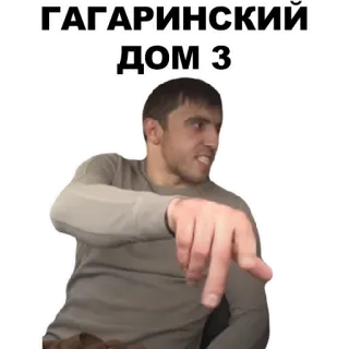 👋 ГАГАРИНСКИЙ 
ДОМ 3 whatsapp sticker