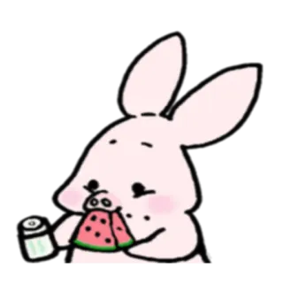 🍉 кролик, арбуз, напиток, милый, животное, мультфильм telegram sticker