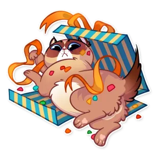 🎉 gato, presente, presente, fofo, adesivo, fita, caixa whatsapp sticker