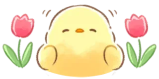 🤩 pollito, tulipanes, flor, lindo, dibujos animados, pegatina whatsapp sticker