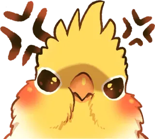 😤 オカメインコ, 鳥, 怒り, 可愛い, 鳥類, 黄色 telegram sticker