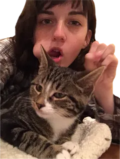 💋 кошка, женщина, домашнее животное, селфи, полосатый кот, животное telegram sticker