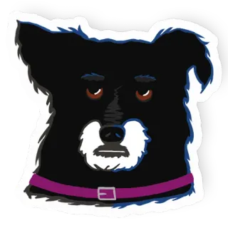 😑 狗, 宠物, 动物, 肖像, 项圈, 可爱, 卡通 whatsapp sticker