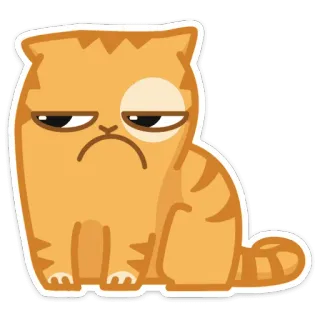 ☹️ chat, grincheux, mignon, animal, autocollant telegram sticker