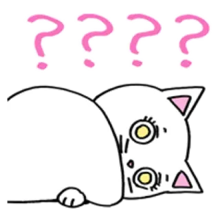 🐈 ???? cat, question marks, confused, animal, cute, sticker telegram sticker