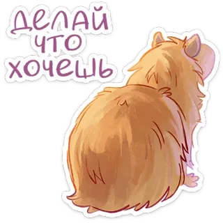 🙃 ДЕЛАЙ ЧТО ХОЧЕШЬ Капибара, Животное, Грызун, Милый, Наклейка, Иллюстрация telegram sticker