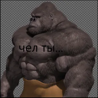 🦍 чел ты... горилла, мускулы, животное, смешной, русский whatsapp sticker