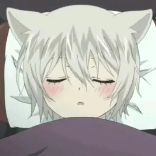 🤍 アニメ, 睡眠, 猫耳, 可愛い, かわいい, キャラクター, イラスト whatsapp sticker