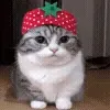 🍓