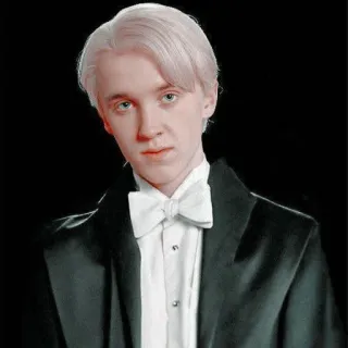 🪐 Draco Malfoy Harry Potter Draco Malfoy, Harry Potter, Sonserina, Tom Felton, bruxo, personagem telegram sticker