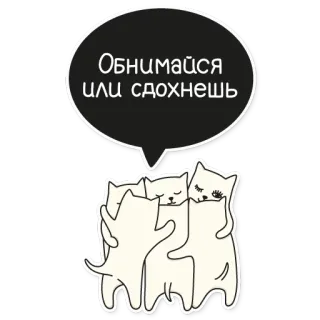 😉 Обнимайся или сдохнешь Katzen, Umarmung, Russisch, Sticker telegram sticker