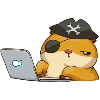 💻 仓鼠, 海盗, 电脑, 眼罩, 帽子, 骷髅 whatsapp sticker