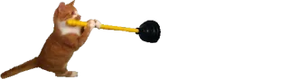 🚽 cat, animal, plunger, funny, meme, humor telegram sticker