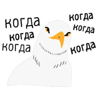 👀 когда когда когда когда когда burung, burung camar, marah, pertanyaan, menunggu telegram sticker