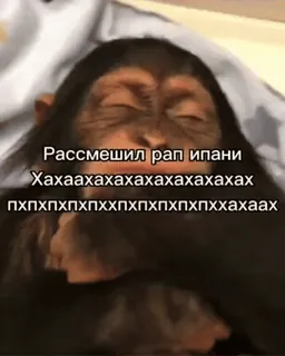 🙈 Рассмешил рап ипани
Хахаахахахахахахахахах
пхпхпхпхпхпхпхпххахаах ลิง, มีม, ตลก, เรื่องตลก telegram sticker