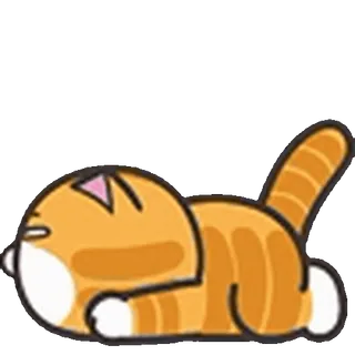 🐈