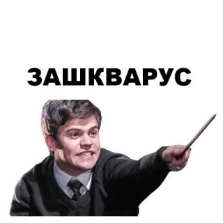 💇‍♂️ ЗАШКВАРУС Meme, Harry Potter, Sorcier, Autocollant, Texte, Drôle telegram sticker