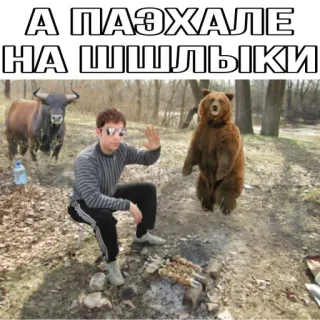 💁‍♂️ А ПОЭХАЛЕ НА ШАШЛЫКИ шашлык, русский, мем, животные, на улице, пикник, медведь, бык telegram sticker