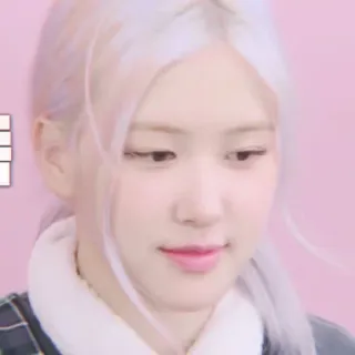 🧸 Rose K-pop, Chanteur, Idole, Rosé, Blackpink telegram sticker