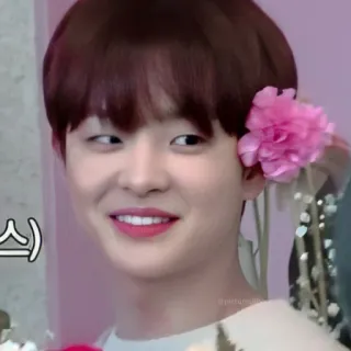 🐼 whatsapp sticker