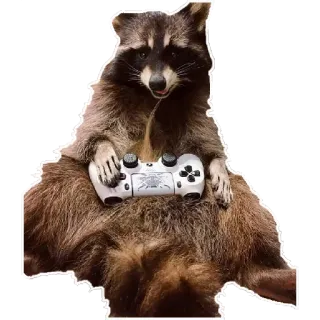🎮 Waschbär, Gamer, Videospiele, Controller, Tier, süß telegram sticker